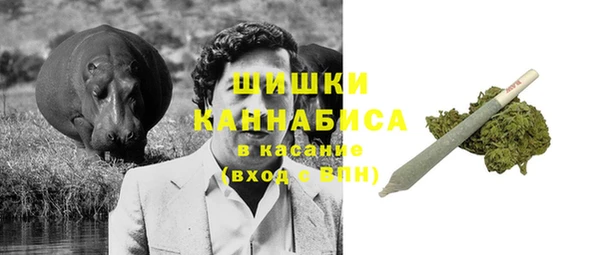 ПСИЛОЦИБИНОВЫЕ ГРИБЫ Инсар