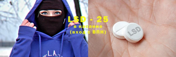 ПСИЛОЦИБИНОВЫЕ ГРИБЫ Инсар