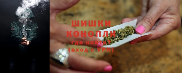 ПСИЛОЦИБИНОВЫЕ ГРИБЫ Инсар