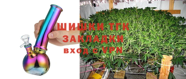 ПСИЛОЦИБИНОВЫЕ ГРИБЫ Инсар