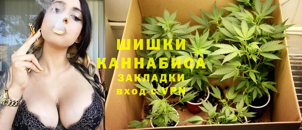 ПСИЛОЦИБИНОВЫЕ ГРИБЫ Инсар