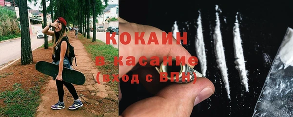 ПСИЛОЦИБИНОВЫЕ ГРИБЫ Инсар