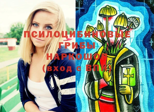 ПСИЛОЦИБИНОВЫЕ ГРИБЫ Инсар